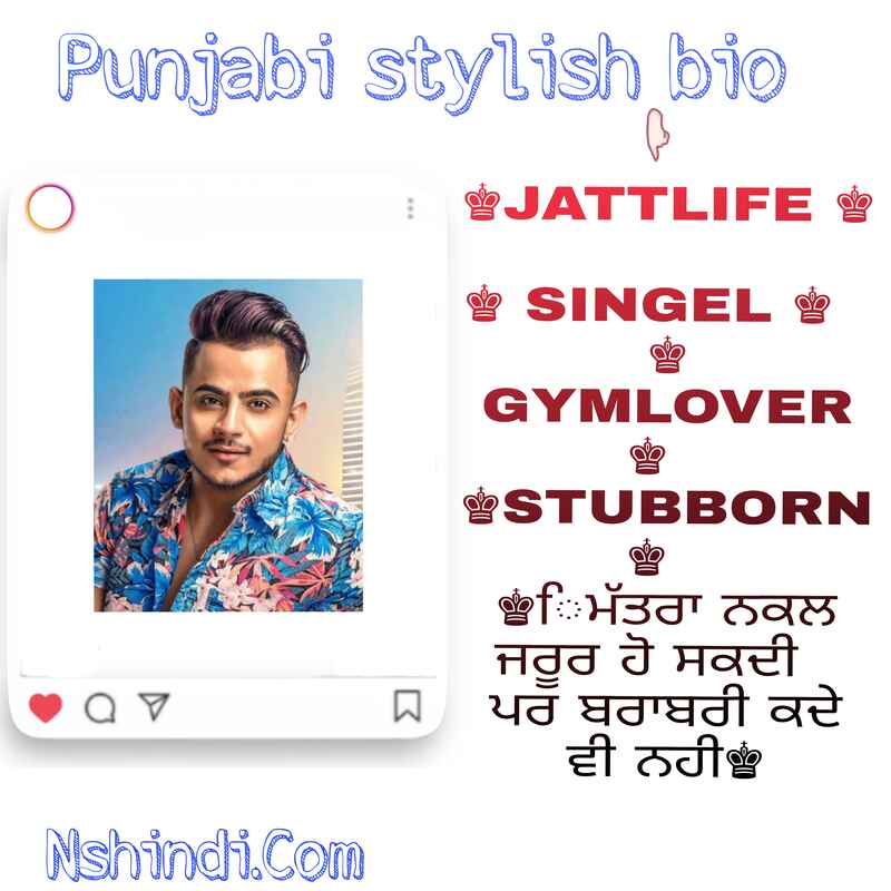 Punjabi Stylish Bio 