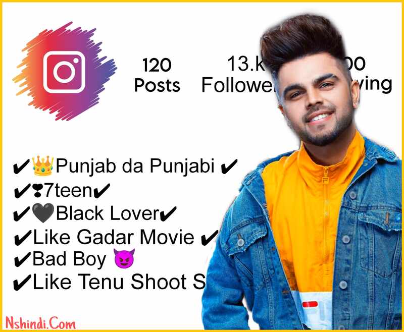 700+ Instagram Bio In Punjabi 2023 | Attitude & Staylish Bio Punjabi ...