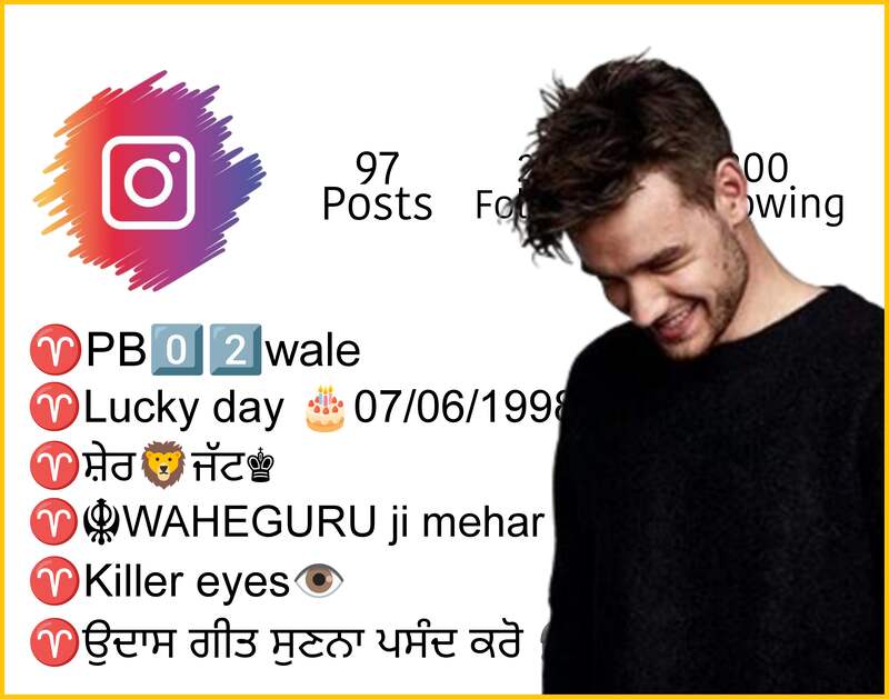 700-instagram-bio-in-punjabi-2023-attitude-staylish-bio-punjabi