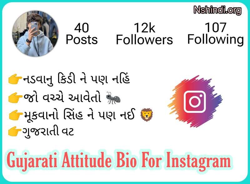 Gujarati Bio For Instagram