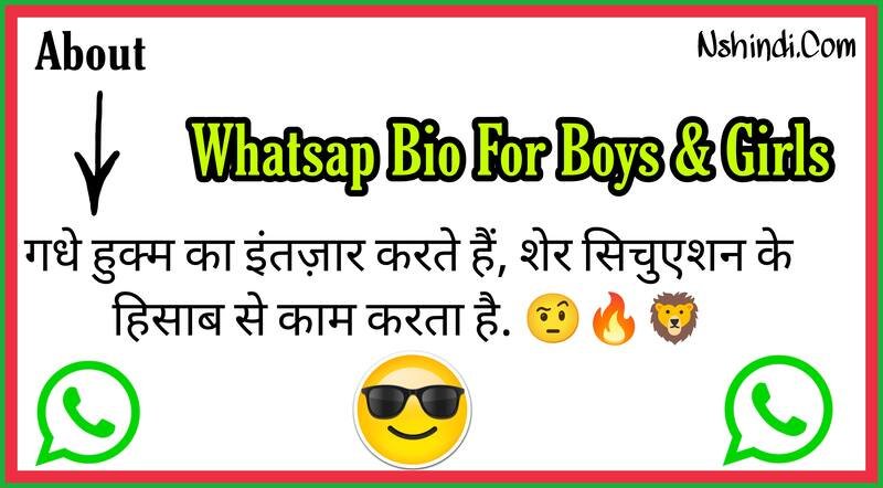 Whatsapp Bio